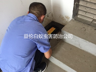 廣州倉(cāng)庫(kù)滅治白蟻