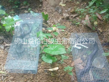 羅村驅(qū)蛇防蛇工程